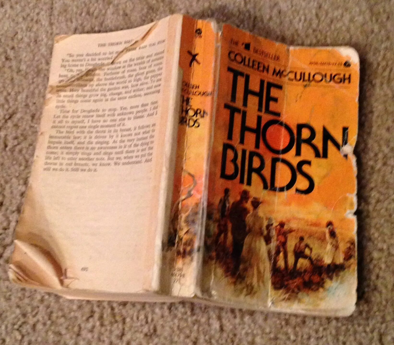 The thorn birds is. From the novel the thorn birds by colleen mccullough ответы. Thorn birds книга на русском. The thorn birds книга. Колин маккалоу книги.