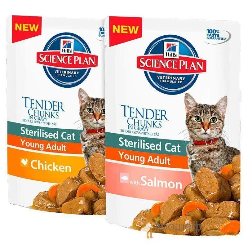 Кошачий корм премиум класса холистик. Хиллс сd для кошек сухой. Название кормов для кошек. Перфект фит влажный корм. Влажный корм для кошек холистик.