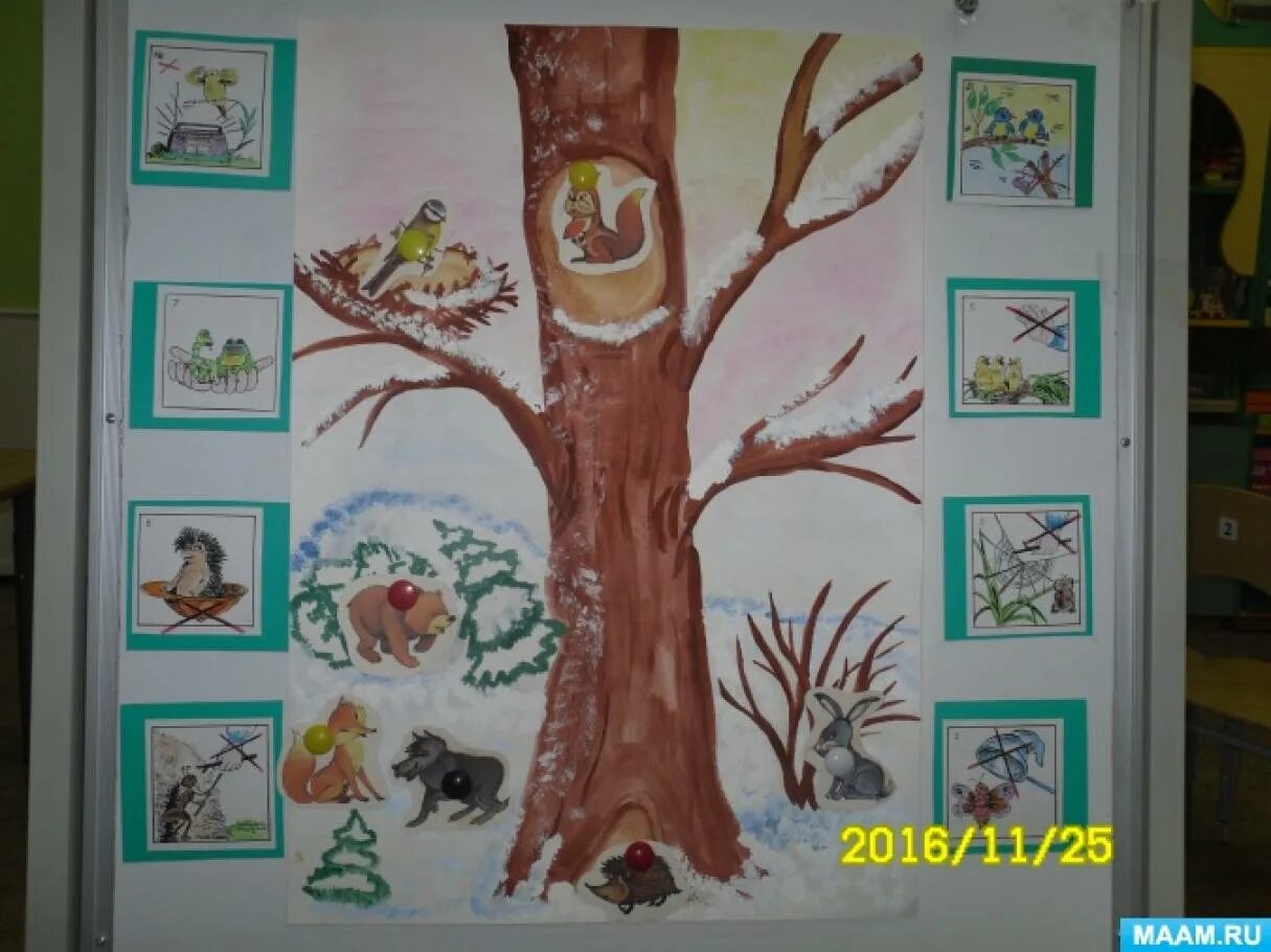 Занятие по экологии лес в старшей группе. Экология в детском саду старшая группа. Занятие по экологии в подготовительной группе. Рисование экология старшая группа.