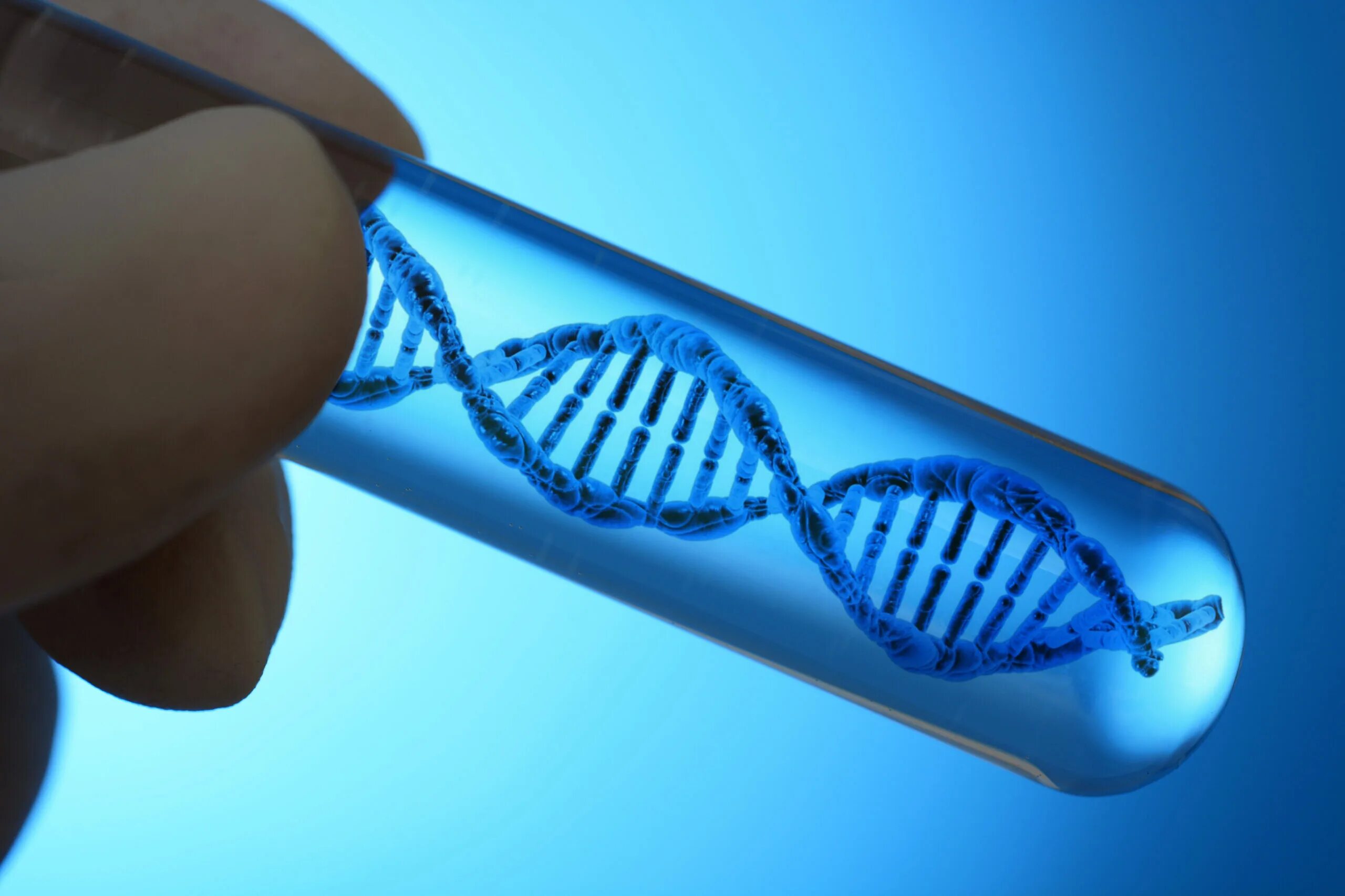 Генетические биотехнологии. Бионика генная инженерия. Генная инженерия и генотерапия. Искусственная ДНК. Генная инженерия ДНК.