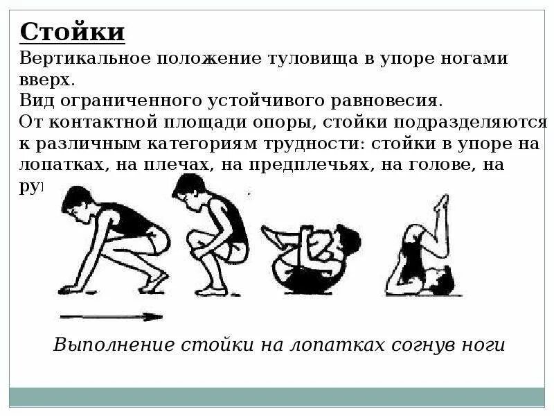 Положение 448
