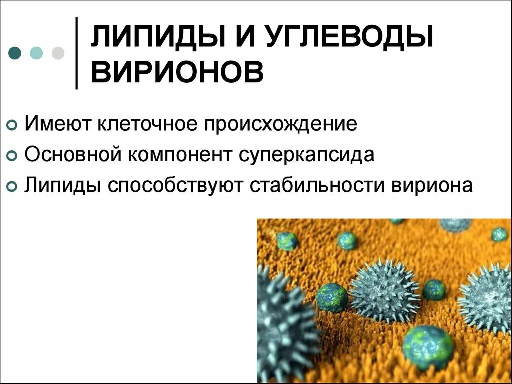 Защитный липид. Липиды и углеводы вирусов. Липидные вирусы это. Липидная мембрана у вирусов. Функции липидов.