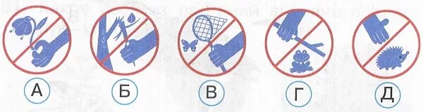 Экологические знаки. Природоохранные знаки. В каждом правилу экологический знак. Знак не топтать лягушек. Экологический знак не будем срывать цветы.