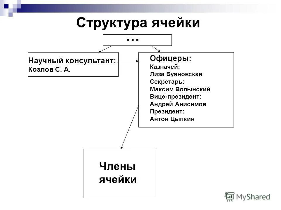 Структура н п. Организационная структура института схема. Формы дистанционного образования в школе. Принципы территориальной организации местного самоуправления схема. Структура н п.