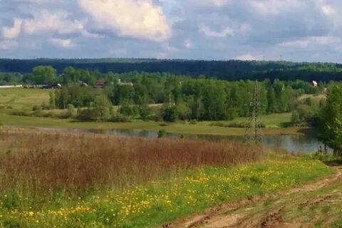 Дмитровский земельный