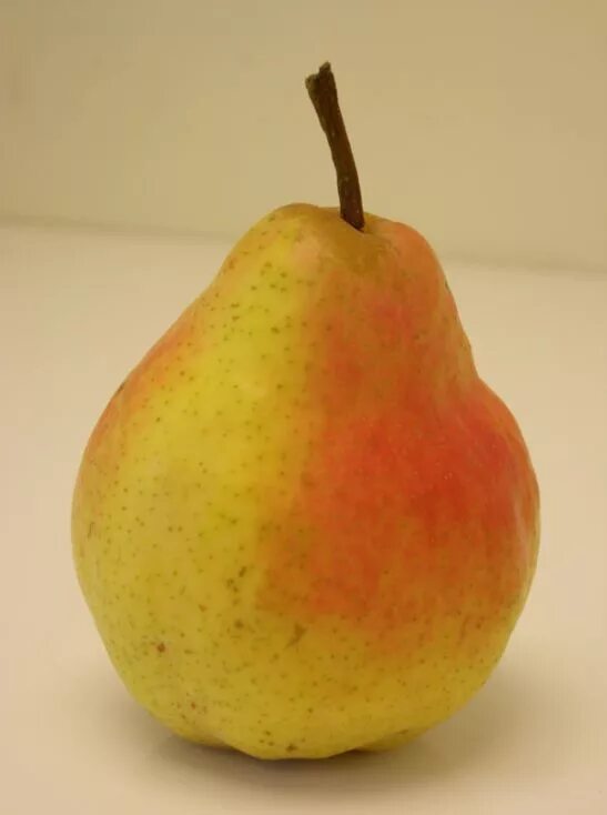 F pears project