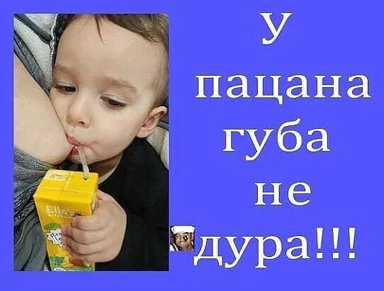 Песня а у тебя губа не дура