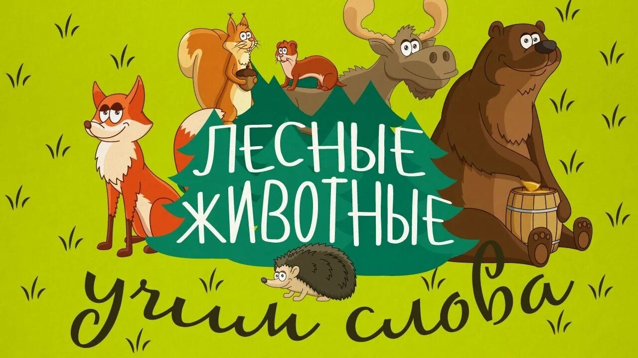 Изучаем лесных