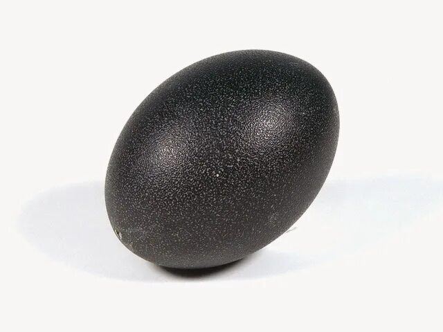 Яйцо стало черным. Черные яйца. Черные яички. Большое черное яйцо. Большие черные яйца.
