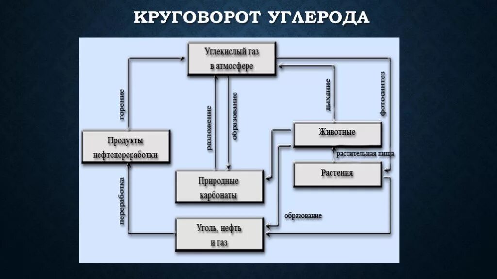 Круговорот углерода (по ф. Рамад, 1981). Круговорот углерода схематично. Круговорот углерода в природе схема 9 класс химия. Круговорот углерода схема.