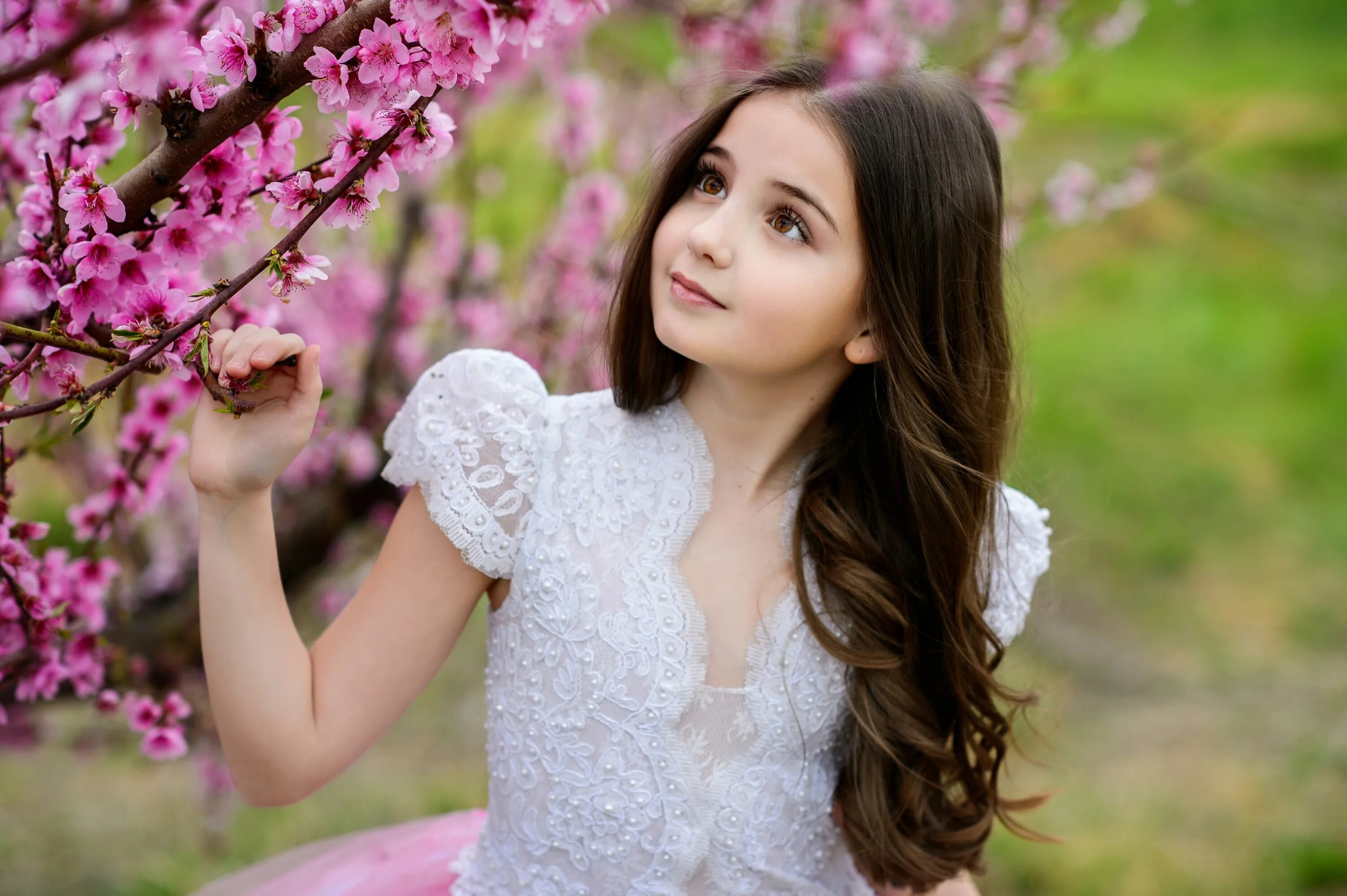 Beautiful e