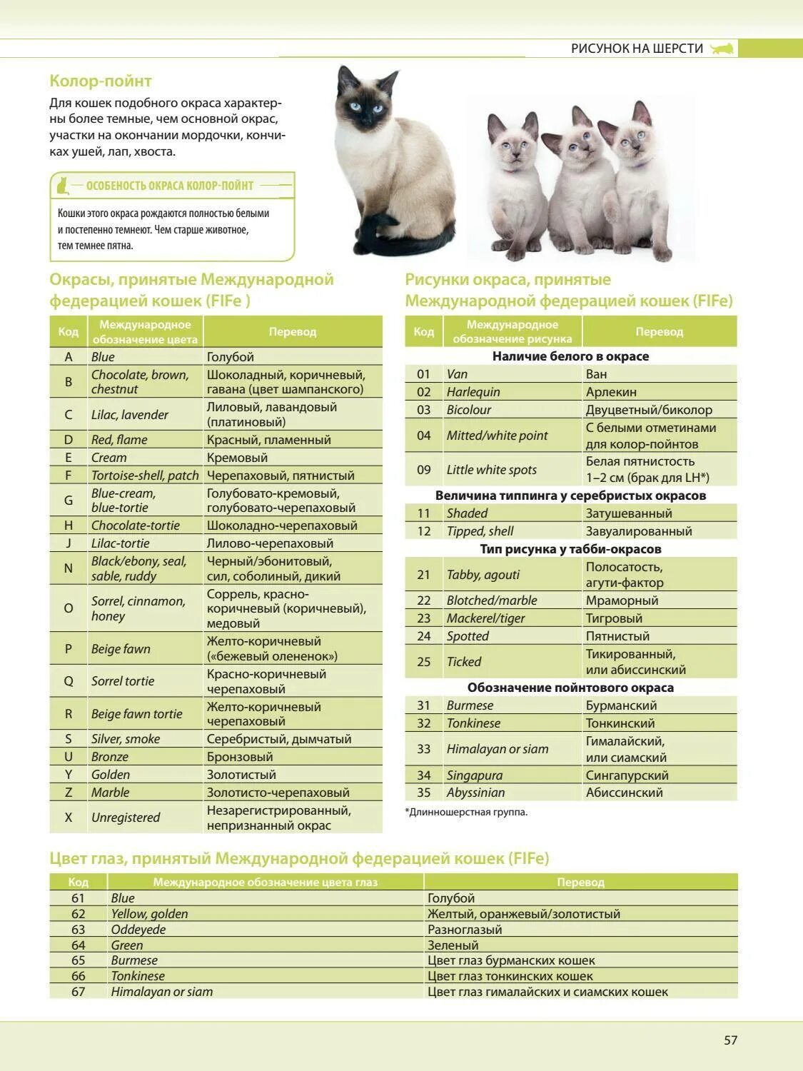 Окрас и тип шерсти кошек. Таблица окрасов кошек WCF. Таблица генетики окрасов шотландских кошек. Классификация окраса шотландских кошек.
