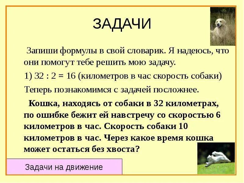Задача про хвосты