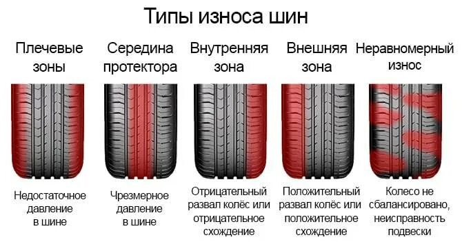 Стать протектором