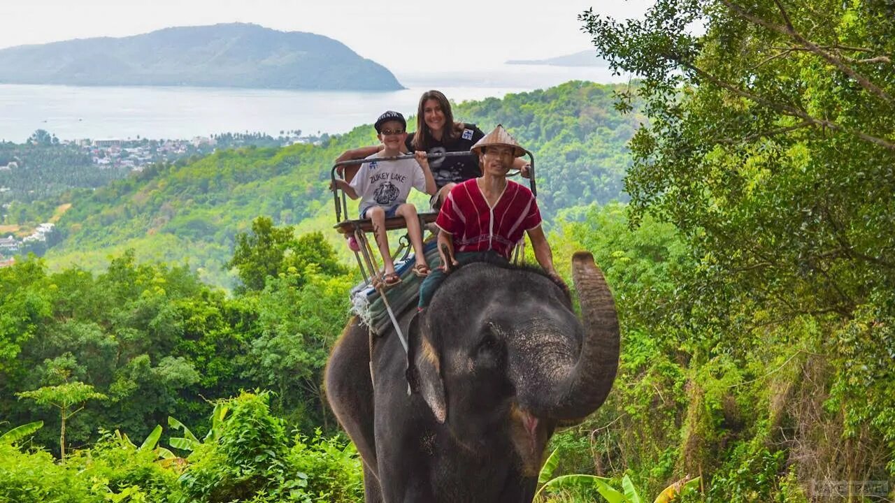 Любимое развлечение туристов. Siam Safari Пхукет. Сафари-парк Намуанг.. Слоны на Пхукете. Сафари тур Пхукет.