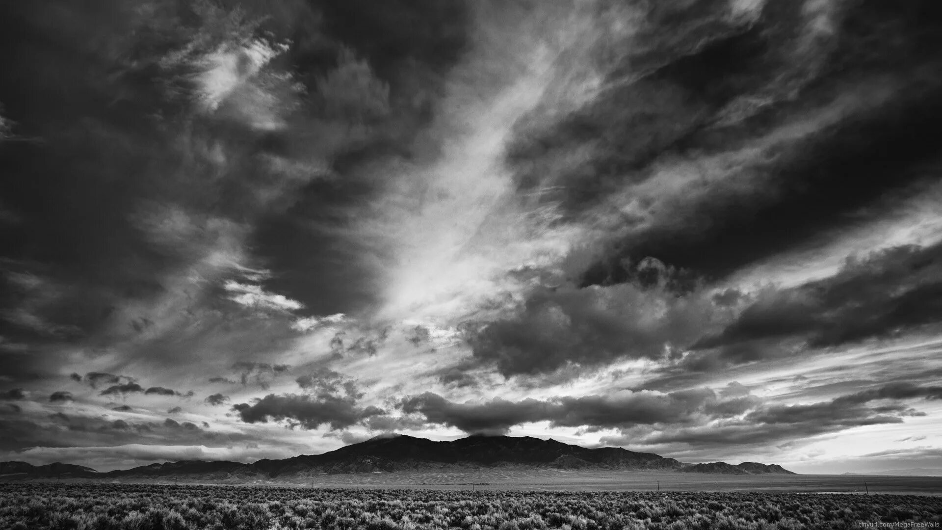Monochrome sky
