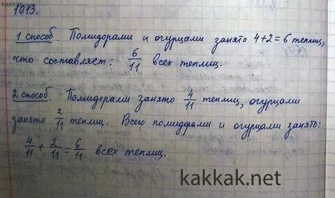 В хозяйстве фермера 12 парников занято огурцами