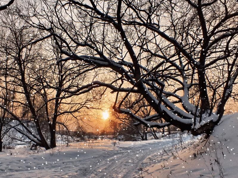 Там там падает снег