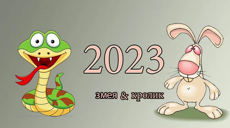 Змея гороскоп. Китайский гороскоп змея. Год змеи 2023. Гороскоп змея на 2023. Гороскоп змея на апрель 2024