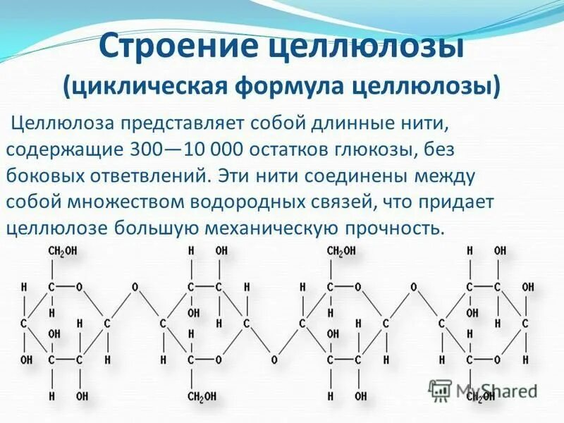 Целлюлоза презентация. Целлюлоза остатки глюкозы. Целлюлоза состоит из остатков. Целлюлоза состоит из остатков альфа глюкозы. Альфа и бета гликозидная связь.