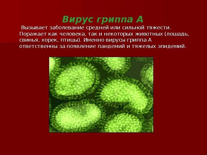 Заболевание грипп б. 2 Группы вирусов. Типы вируса гриппа. Вирус гриппа возбудитель. Микробы возбудители гриппа.