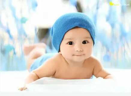 Даша Пинзардың кискасы