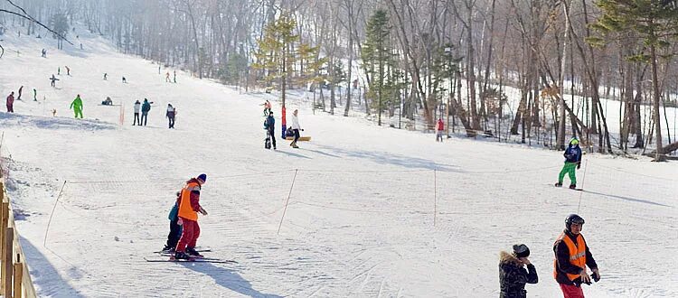 комета горнолыжка. комета владивосток горнолыжная база. комета база отдыха владивосток. комета горнолыжка. комета приморский край горнолыжная база.