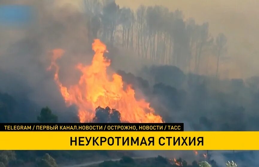 Пожары в Европе. Самые крупные Лесные пожары. Пожары в Якутии. Лес пожар дым. Жара сгорела