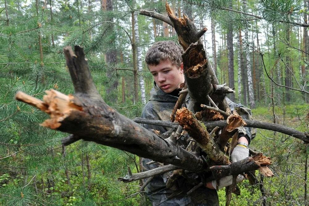 Сбор сухостоя в лесу. Сбор валежника в лесу. Собирать дрова в лесу. Сбор хвороста в лесу. Брать валежник в лесу