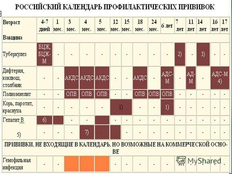 Прививка от полиомиелита в россии. Полиомиелит прививка схема вакцинации. Полиомиелит календарь прививок. Прививка полиомиелита график вакцинации в России прививка. Полиомиелит схема вакцинации ИПВ ОПВ.