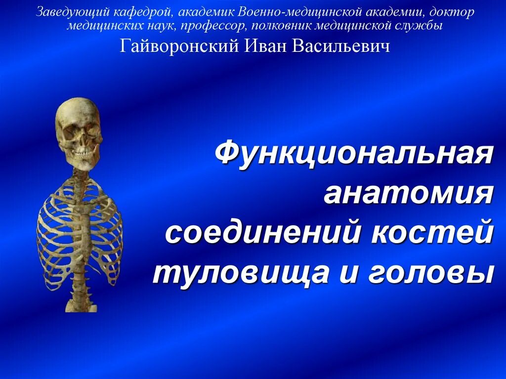 Соединение костей 6. Функциональная анатомия. Функциональная анатомия костей. Соединения костей туловища и головы. Соединение костей туловища.