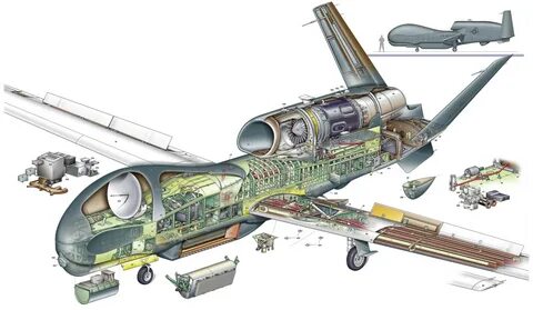 Northrop Grumman RQ-4 Global Hawk Cutaway Drawing in High quality.