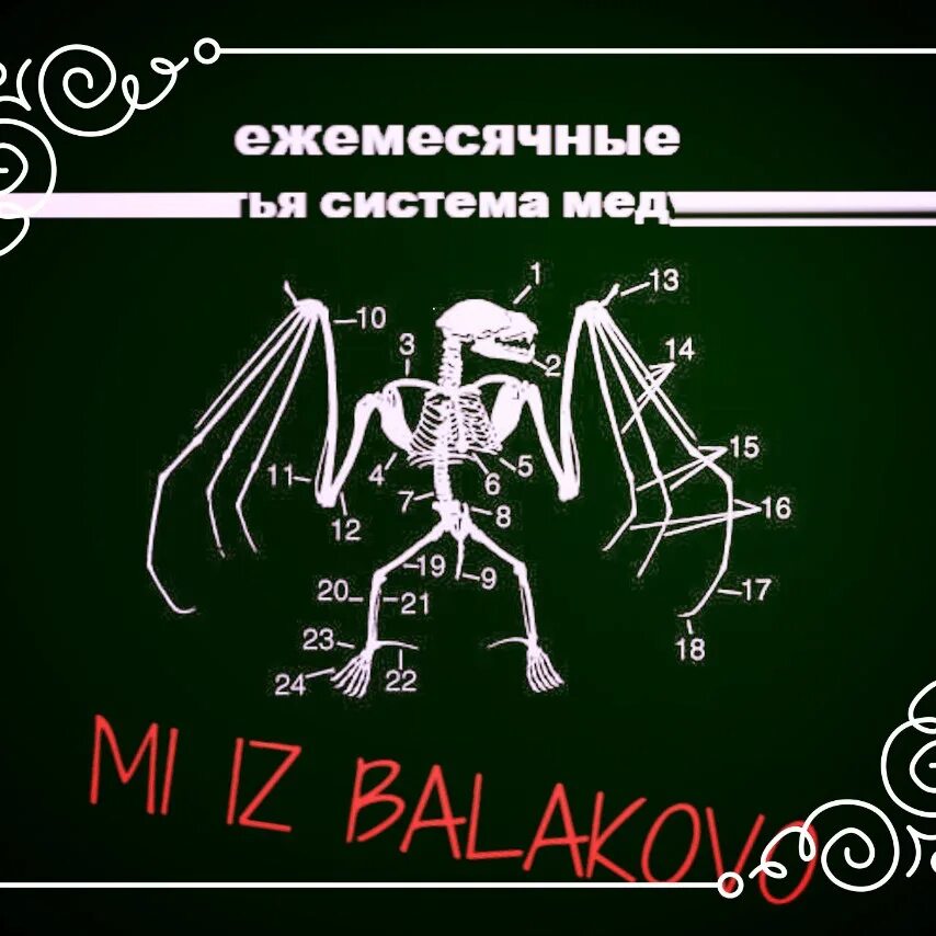 Ежемесячные только по дури. Ежемесячные альбом. Ежемесячные система медузы. Ежемесячные группа. Ежемесячные группа лого.