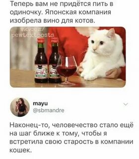 Теперь кота