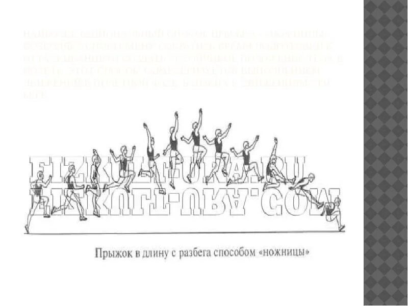 Прыжок с разбега ножницы. Прыжок способом ножницы. Прыжок в длину с разбега ножницы. Виды прыжков в длину с разбега ножницы. Песня прыгну с разбега до самого