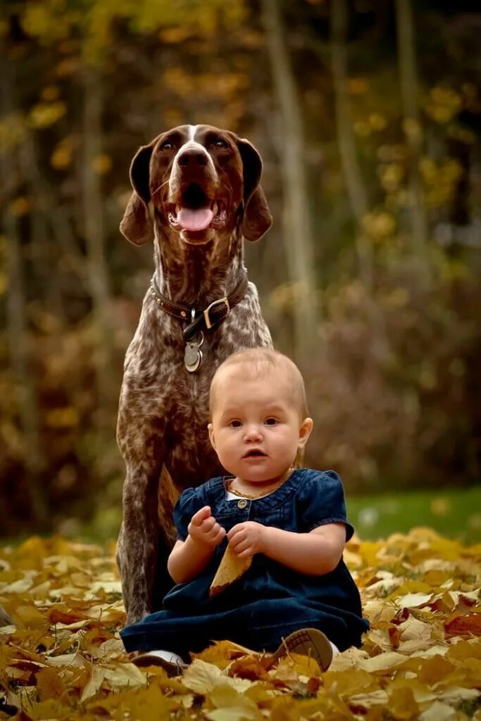 Самая добра картинка. Собака для детей. Маленькие собаки для детей. Фотосессия ребенка с собакой. Маленькие дети и животные.