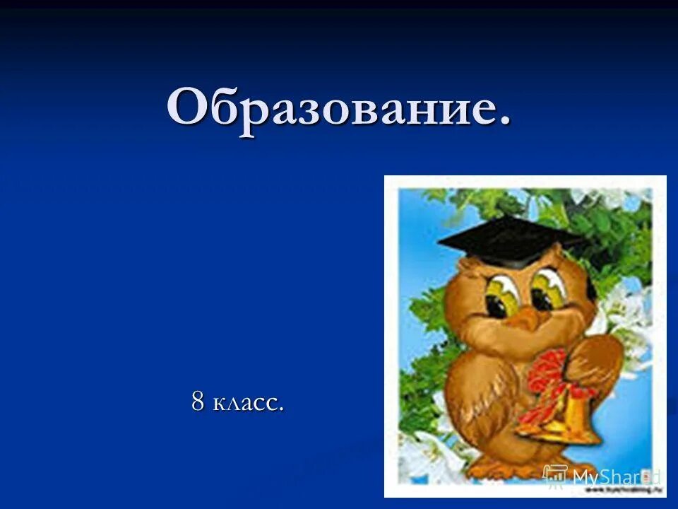 8 класс образовательный. Образование 8 класс. Образование 8 Клаас. Образование 8 классов.