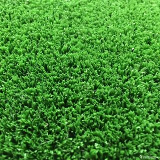 Grass 7