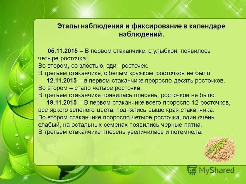 Этапы наблюдения. Росточек образование слова. Росточек значение слова. Укажите этапы наблюдения