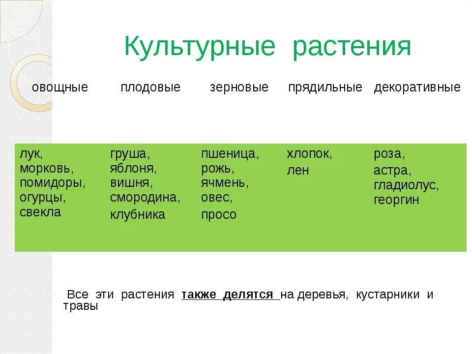 Культурные растения 3 примера