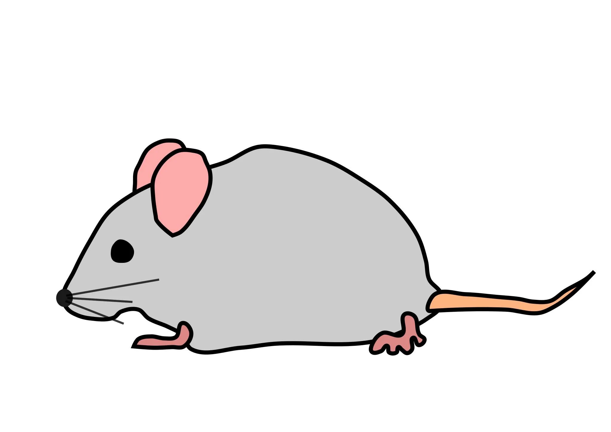 Browser mousepan png vtex c. Мышка без фона. Мышь мультяшная. Мышонок без фона. Мышь на белом фоне.