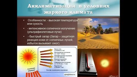 Климат акклиматизация