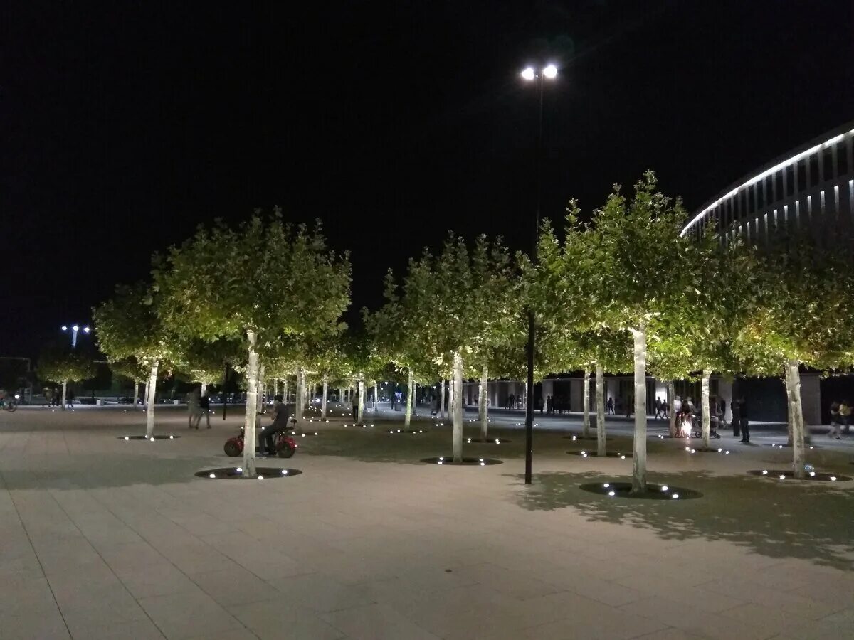 Фон парка Галицкого. Парк Галицкого ночью. Парк Галицкого ночью панорама. Парк Галицкого ночью летом.