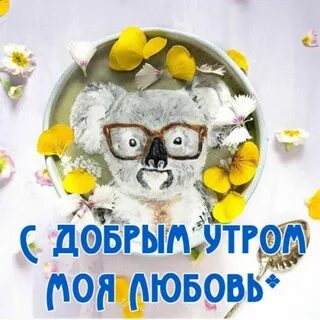 Добрейшее утро прикольные смешные и ржачные