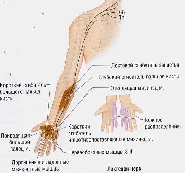 Задеть локтем