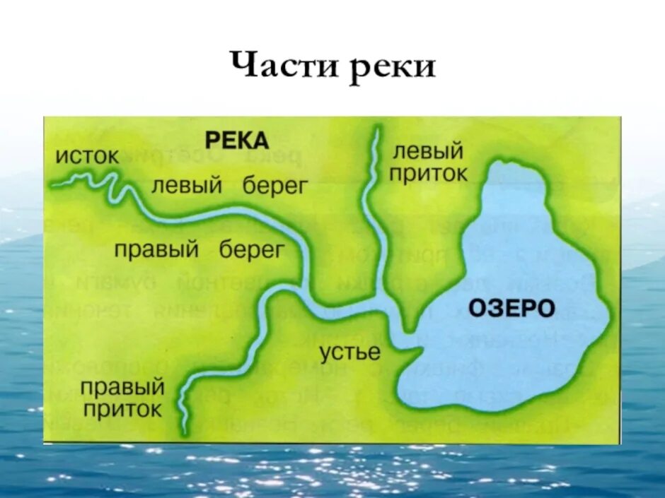 Река 4 буквы 2 а. Схема реки Исток русло Устье. Устье реки Исток приток окружающий мир. Устье приток Исток окружающий мир 2 класс. Река Исток русло схема.