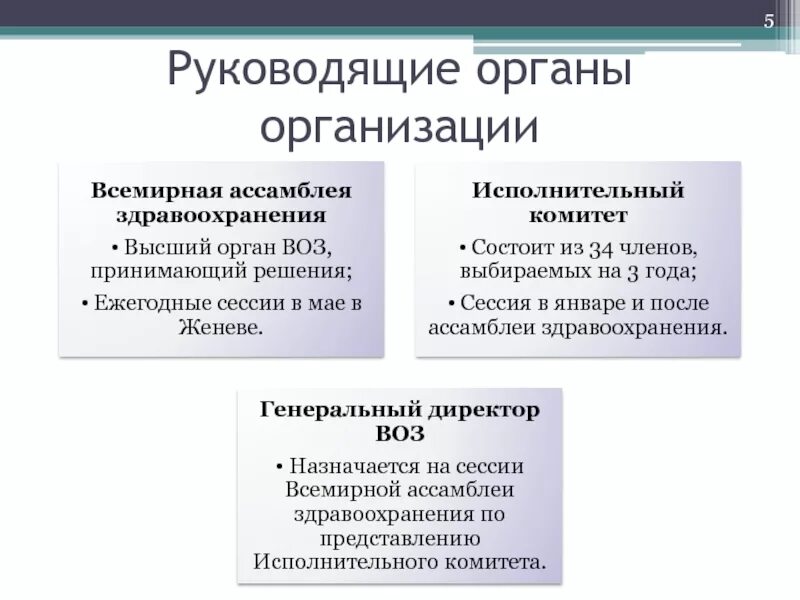 Руководящие органы общественной организации