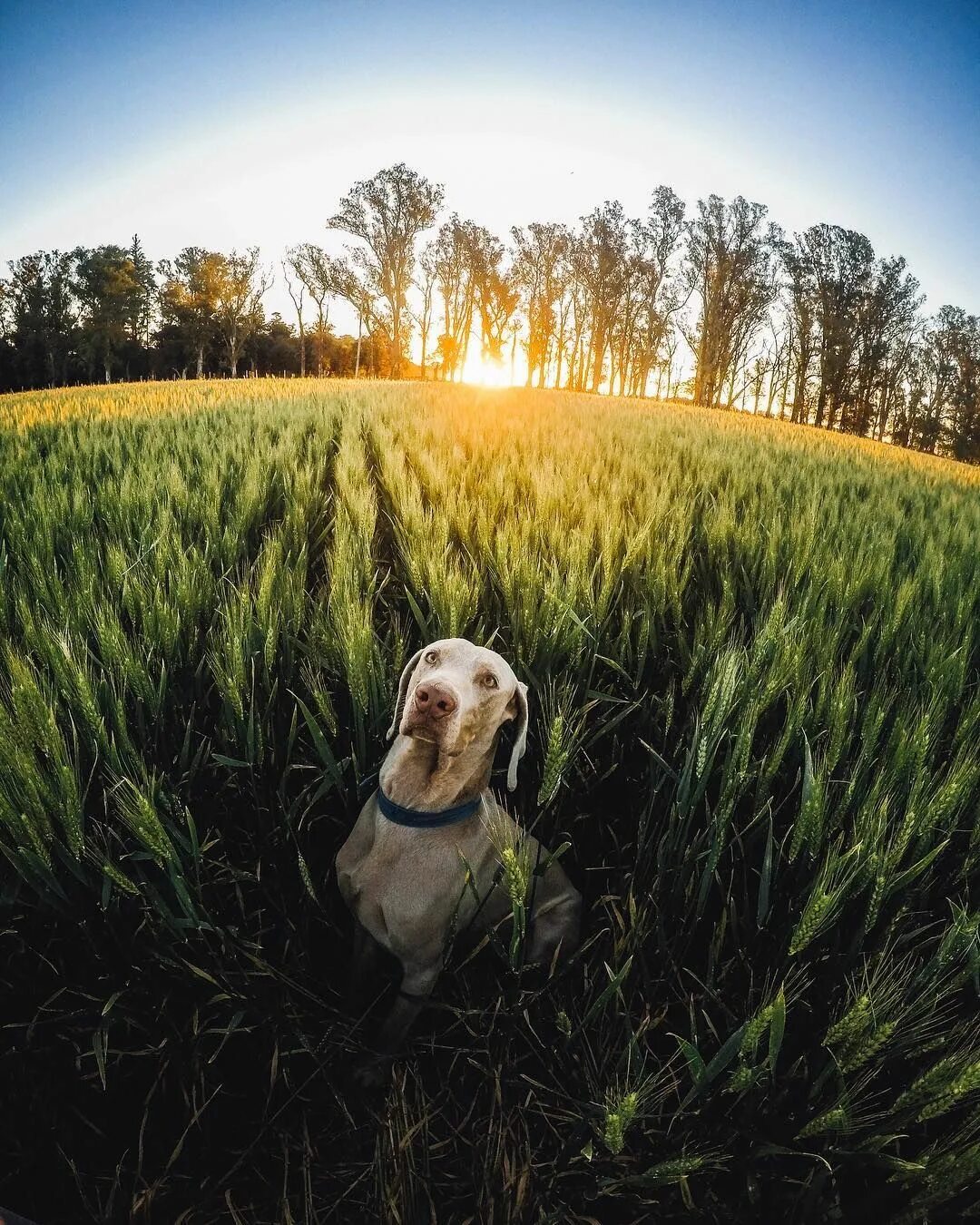 Удачный кадр - конкурс "Увлеченные фотографией" - Фотоконкурс.ру