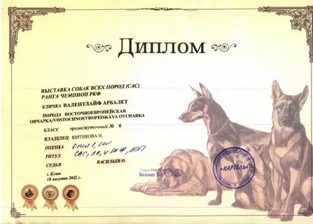 Скор собаки