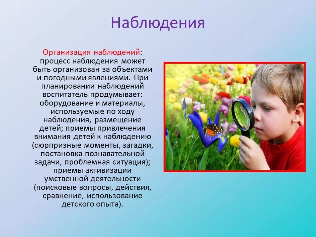 Наблюдение за объектом. Интересные наблюдения за природой. Наблюдение в природе. Организации наблюдения в детском саду. Организация наблюдения в природе